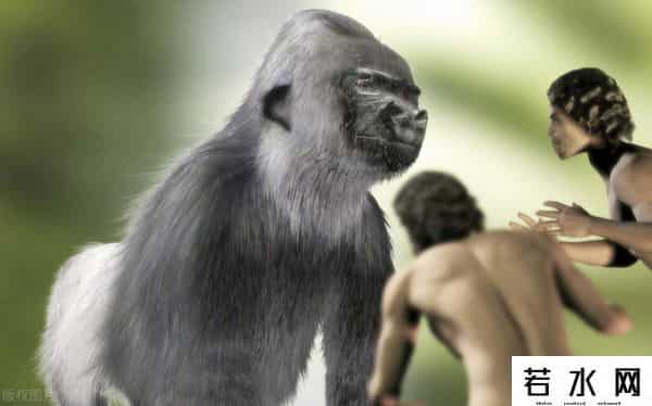 大雪怪,俄罗斯8年前现大雪怪,身高2米多体型健壮,至今不知是何生物