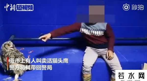 吃掉蔡徐坤,强奸12岁中国少女，美国牧师被判6年监禁