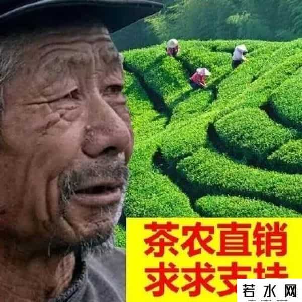 金坷垃,有啥就卖啥，卖啥啥滞销，“金坷垃”大爷火了