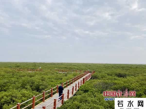 碧海银沙网,「美丽中国·网络媒体生态文明行」北海加强生态立法 守护蓝天碧海银沙