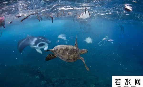 漂浮大陆,世界“第八大陆”,太平洋垃圾带,那么多垃圾哪里来的?