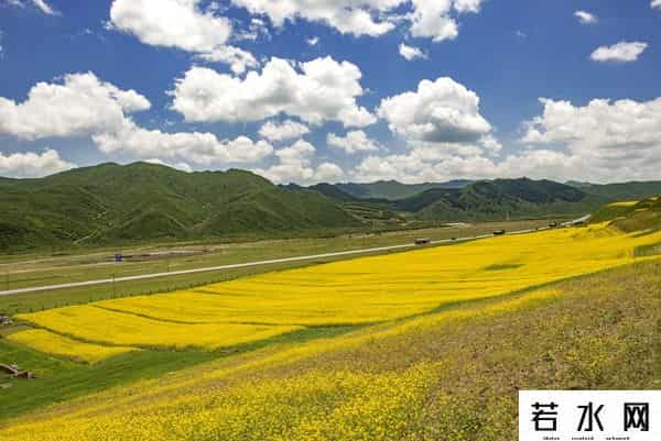 发现旅行,高原之上,金黄一隅教我发现旅行的意义