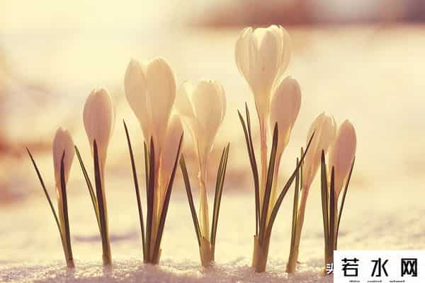 正直的生活,要正直地生活,别想入非非!要诚实地工作,才能前程远大