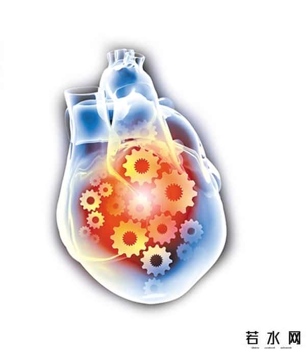 再生时代,“器官再生时代”离我们有多久?