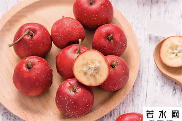 小雪球,酸甜开胃入口即化的“小雪球”，你不准备来一颗吗？