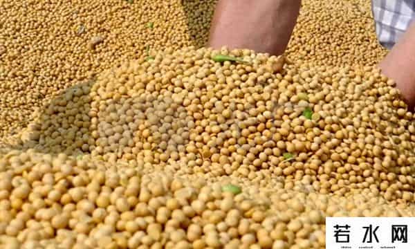 美国农场主,中方不留情面，美国被踢出局，1200吨杂粮将入华，美农民财路被断