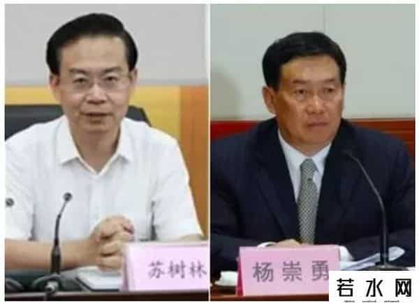 瑞德梦减肥茶,新湖南丨新闻早餐7月5日星期三