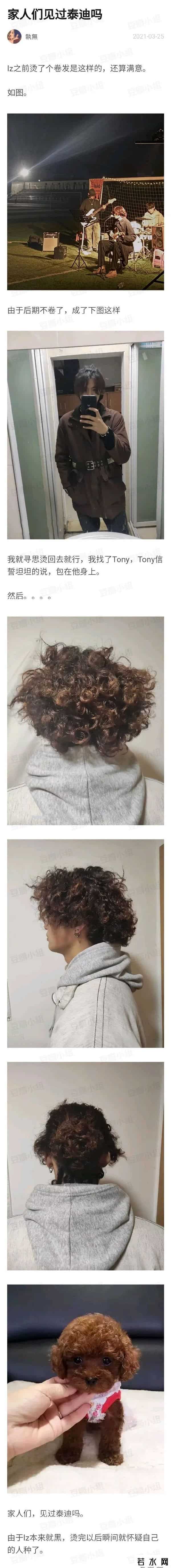 猫扑图片,网友烫头失败大赏,看完差点笑岔气了哈哈哈哈哈哈