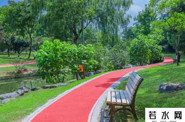 蔷薇九里,松江又添一条滨水健身步道，散步、吸氧、赏景……走起