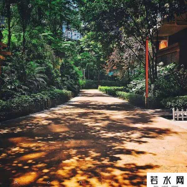 百度美拍图片,旅拍大师？其实他们只用了一部手机而已