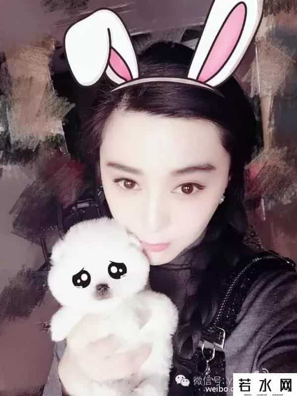 范冰冰的博客,范冰冰:关于我的代表作,有些人就是一直在装睡