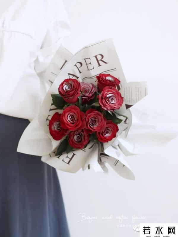 色520,节日特辑vol.4 - 红玫落雪，月色与雪色之间，你是第三种绝色