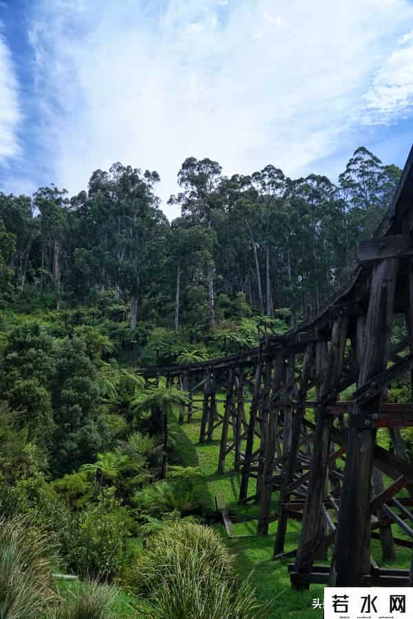 woola,放慢脚步游澳洲（4）企鹅岛，我和自然有个约定