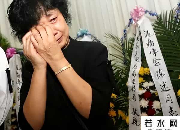 陈述,著名演员陈述:演反派成名,去世后儿女与小继母打官司