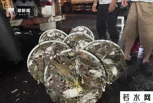 杭州抢人大战,杭州凌晨抢蟹大战：一斤只要2块，真有人拼车去捡漏！