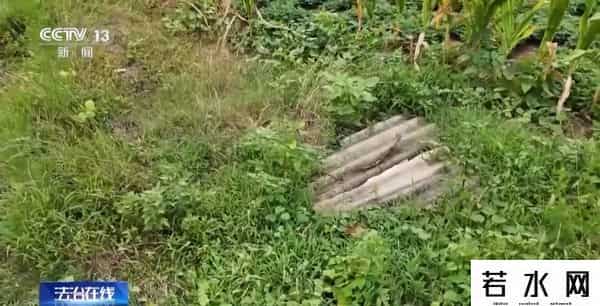 快可士,“实力买家”出手,20件国宝被全部追回!