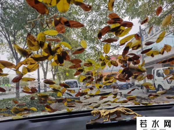 那种,你喜欢秋天那种凉爽吗?