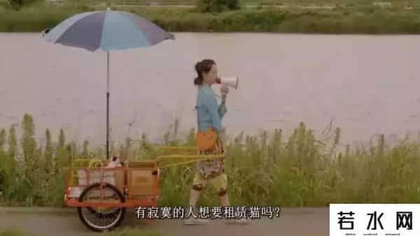 魔力旺旺,影视综漫联动，积攒半个多世纪的猫咪缘，猫爪杯中爆发