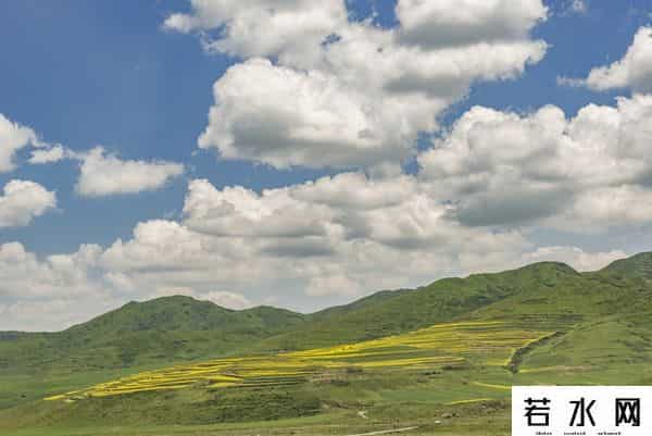 发现旅行,高原之上,金黄一隅教我发现旅行的意义