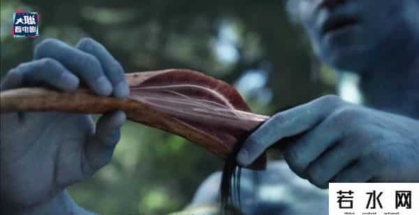 soso哼唱,《阿凡达2》新预告万字解析！诸多细节脑洞全片剧情