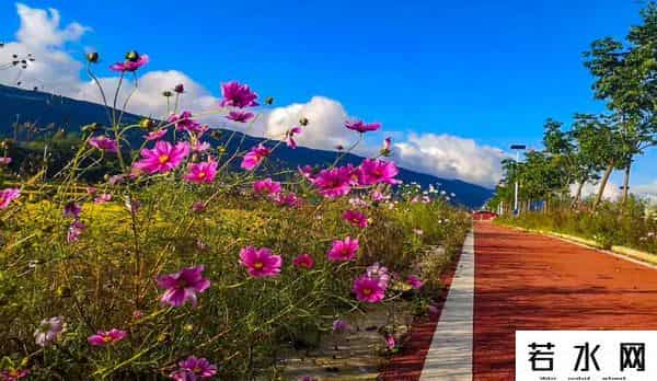 稻田丽森,太美,齐岳山风光在《人民日报》头版刊发