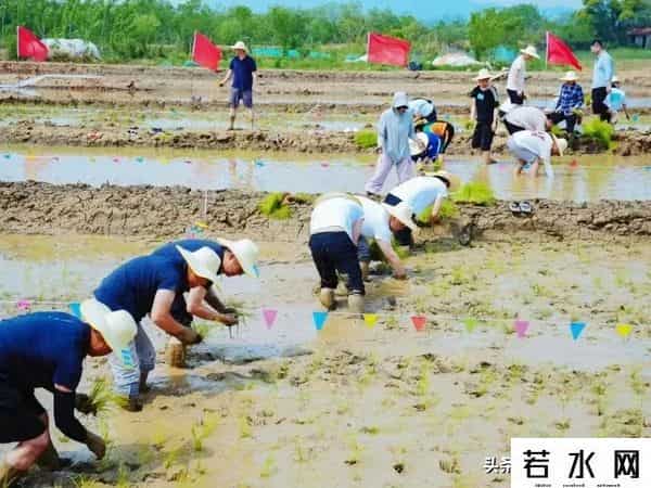 王巍然,武汉新城未来湾项目,打造为农文旅融合示范点,武汉新城新地标。