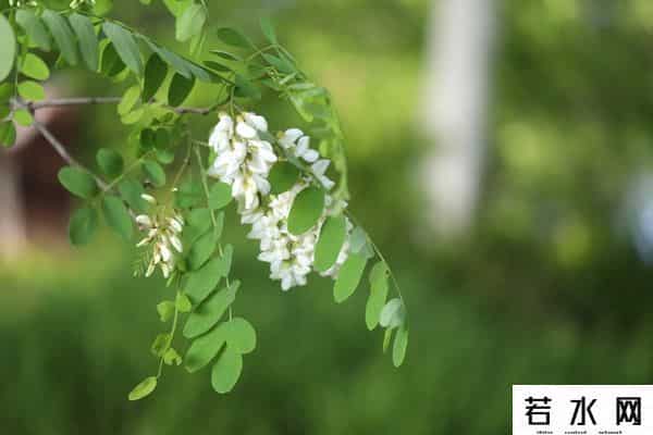 男人变女人,当男人变了心,女人要“先发制人”