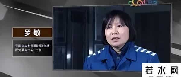 罗敏,美女贪官罗敏落马记