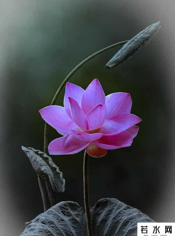 合音量,朋友想在头条上混,就得接受不同的声音。