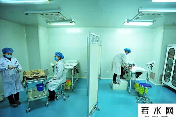 人类精子库,「图集」精子掀起“涨价潮”：镜头下的全球人类精子库