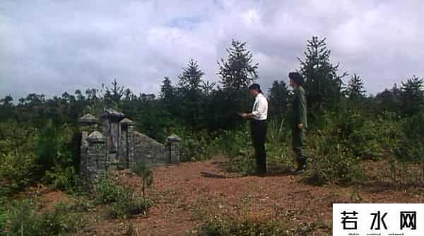 倪匡电影,31年前的卫斯理，风水玄学+枪战动作，胡慧中被遗忘的经典港片