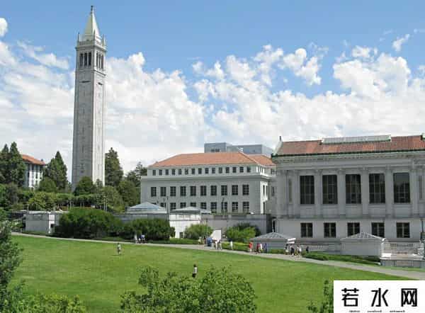 大野优美,疯狂孙正义：向天再借260年