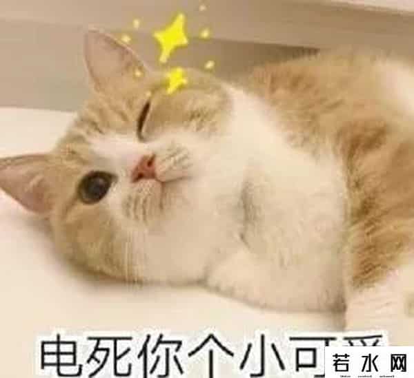 宅姐,林小宅联动营销号分手爆料，这拿了阿沁的剧本吗