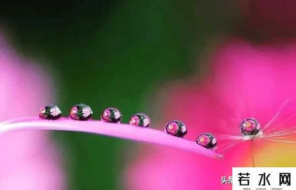 大光圈手机,手机虚化有多绝?大光圈+光斑玩法,轻松拿捏专业级美照