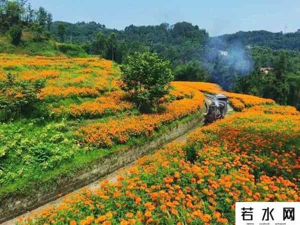 百度美拍图片,旅拍大师？其实他们只用了一部手机而已