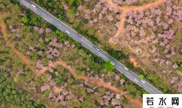 郑美子,消费市场供需旺 文旅融合春潮涌——2025年清明假期经济观察