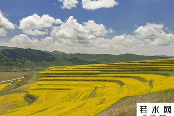 发现旅行,高原之上,金黄一隅教我发现旅行的意义