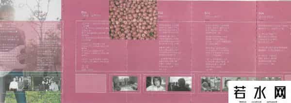 摩登天空1,M1&M2-摩登天空——国摇盛典2002(2)