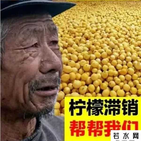 金坷垃,有啥就卖啥，卖啥啥滞销，“金坷垃”大爷火了