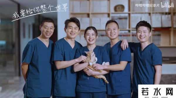 B站宠物医院,《宠物医院》第三季今晚B站开播，网友满屏弹幕催更！你准备好纸巾了吗？