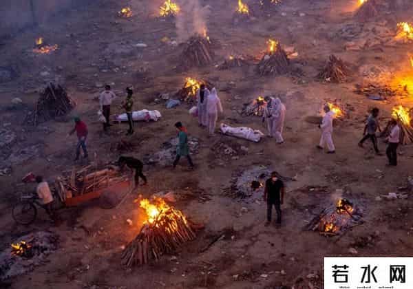 骚百度,公知又开始做道德婊了