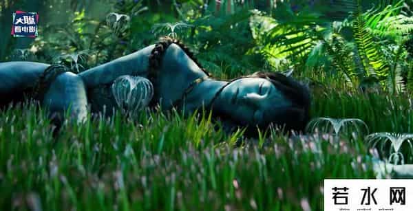 soso哼唱,《阿凡达2》新预告万字解析！诸多细节脑洞全片剧情