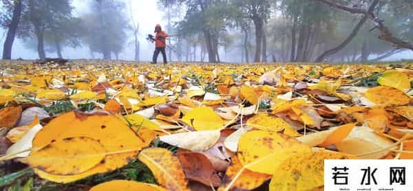 那种,你喜欢秋天那种凉爽吗?
