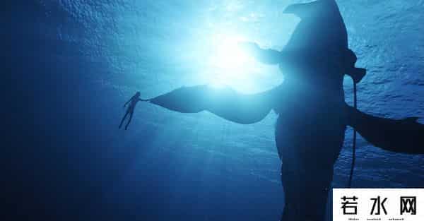 阿凡达2,《阿凡达2》亲手掀翻曾经的极限,一顿操作猛如虎后,值在哪?