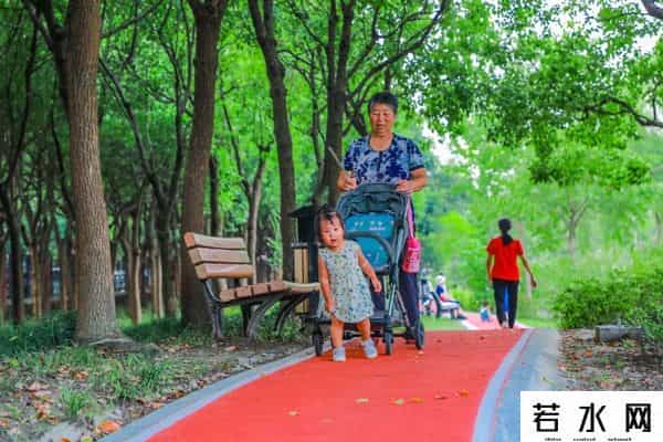 蔷薇九里,松江又添一条滨水健身步道，散步、吸氧、赏景……走起
