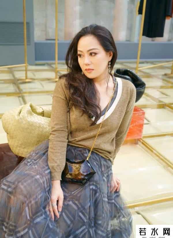 熟女区,章小蕙的微胖也是一种美!穿V领针织衫配薄纱裙,熟女韵味挡不住