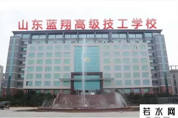 布鲁弗莱,家族内斗哪家强?曾经的挖掘机之王,蓝翔一家人都够狠