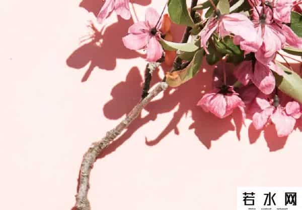 於菲,喜报 - 市检察院第八检察部、政治部干警于菲分别荣获‘‘许昌市三八红旗集体”和“许昌市三八红旗手”称号