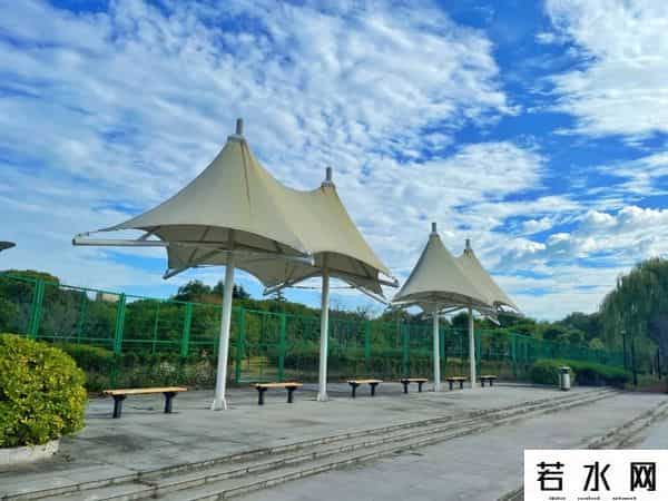 蔷薇九里,松江又添一条滨水健身步道，散步、吸氧、赏景……走起