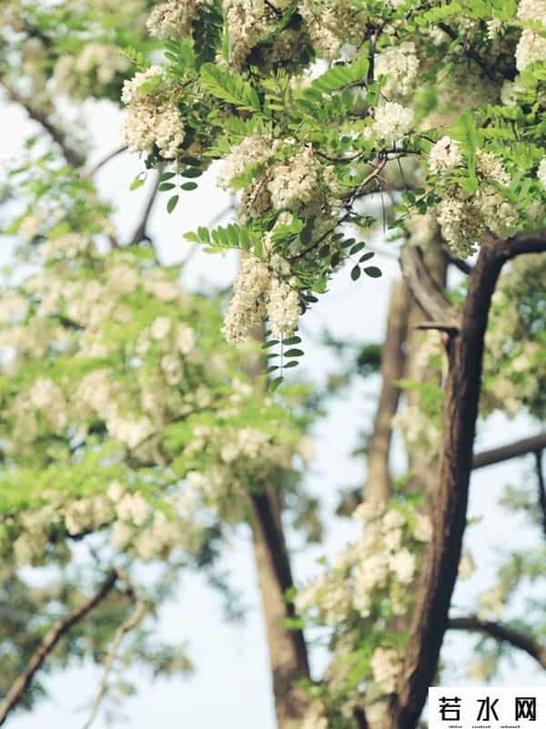 男人变女人,当男人变了心,女人要“先发制人”